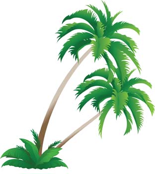 Palm tree 4 - Download free Nature vectors