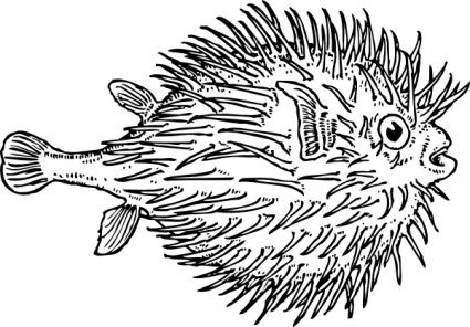 Pix For  Clip Art Animals Black And White Fish