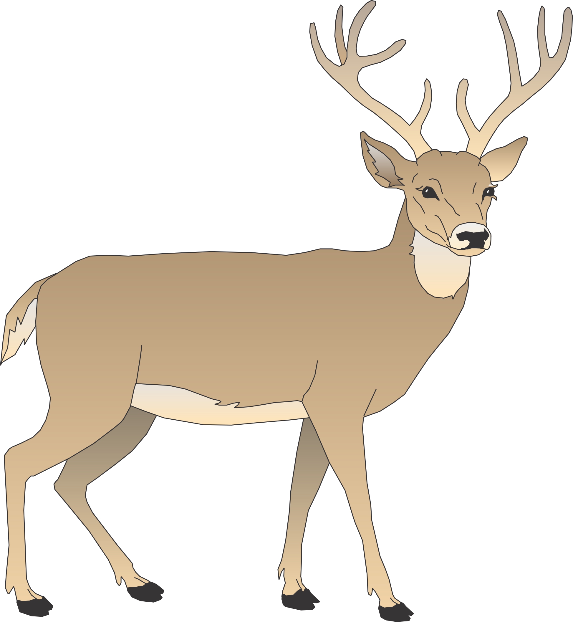 Free Cartoon Pictures Of Deer, Download Free Cartoon Pictures Of Deer png images, Free ClipArts