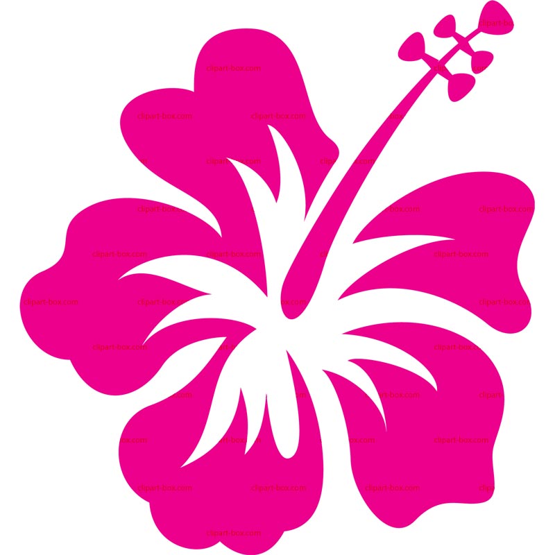 Hibiscus Flower - Clipart library