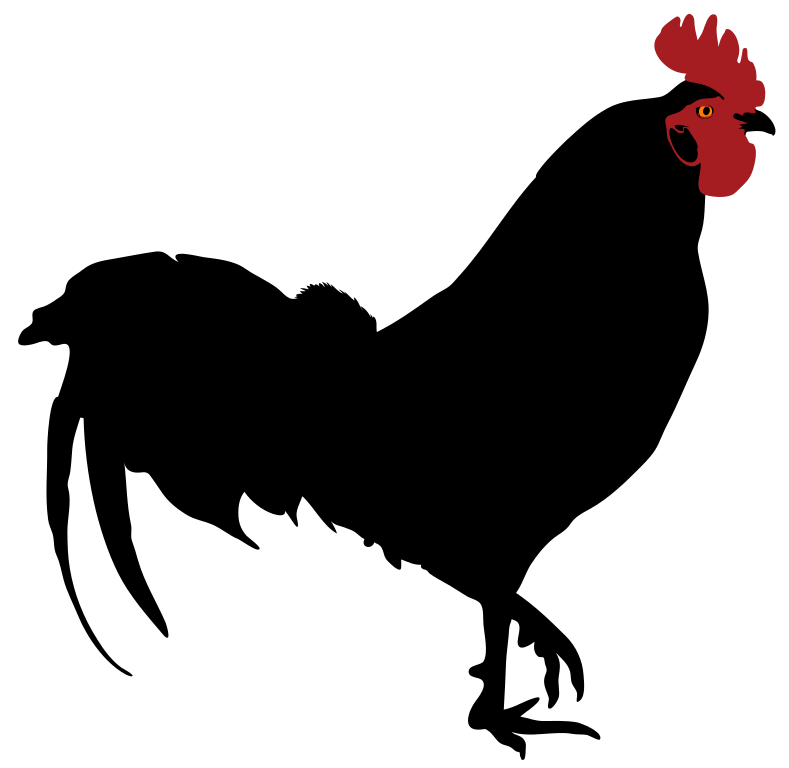 File:Rooster silhouette 02 - Wikimedia Commons