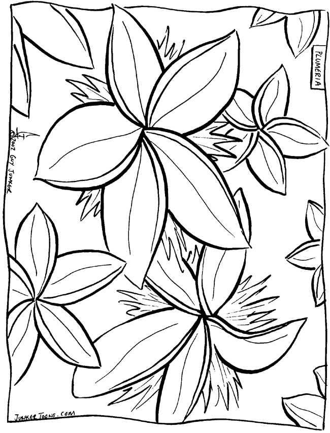 Aloha Coloring Pages Images  Pictures - Becuo