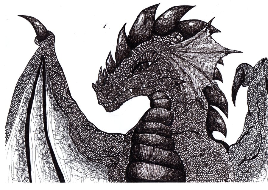 free black and white dragon clipart - photo #44