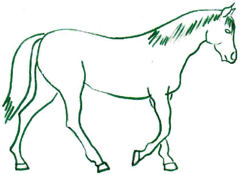 horse coloring pages for kids - Clip Art Library