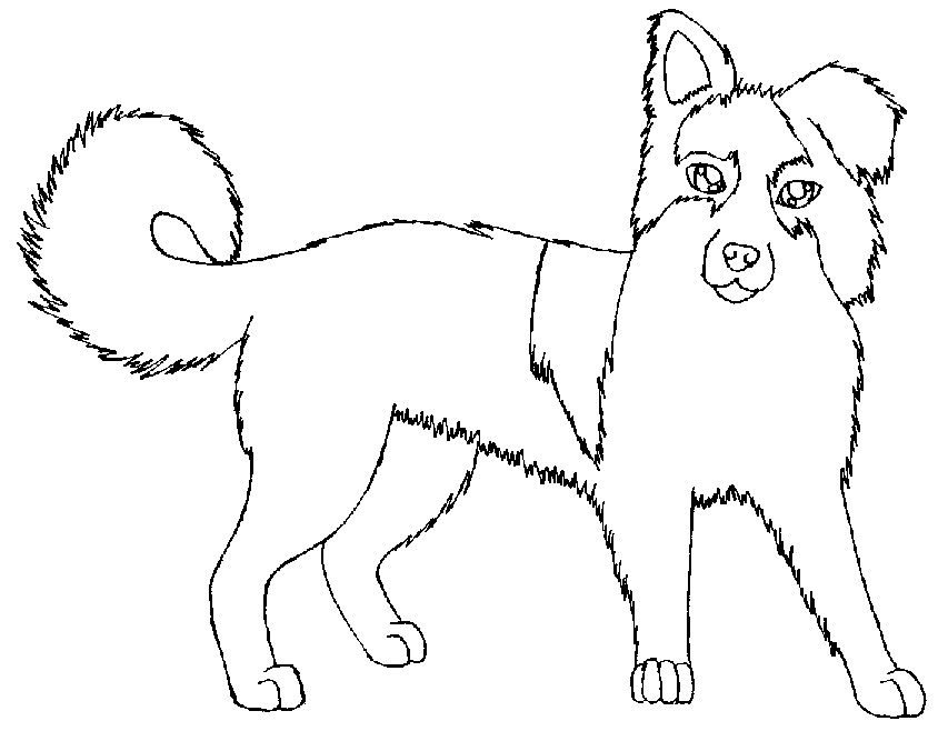 Old Border Collie by x-nightwish-x on Clipart library