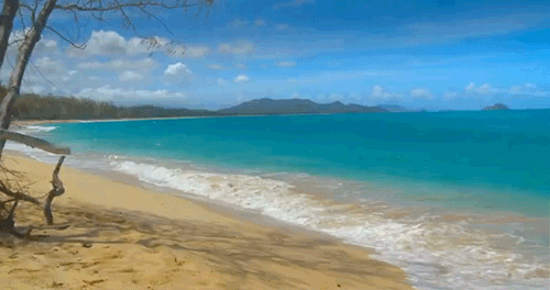 Featured image of post Anime Beach Background Gif Watch and share beach background gifs on gfycat
