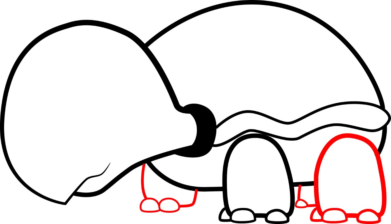 draw a cartoon tortoise - Clip Art Library