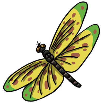 50 FREE Dragonfly Clip Art 20