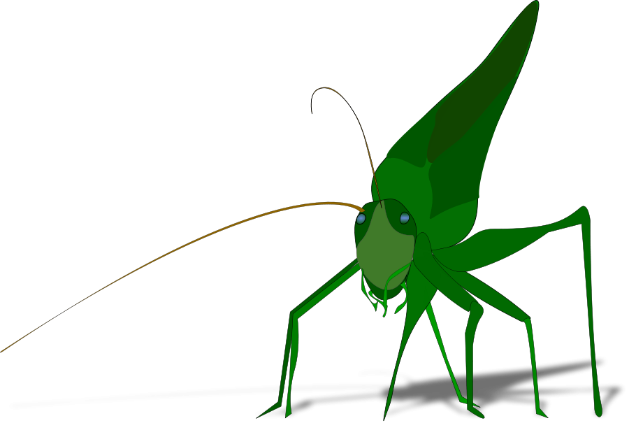 Grasshopper with shadow small clipart 300pixel size, free design 