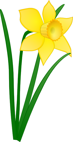 Buttercup Flower Clip art - Flowers - Download vector clip art online