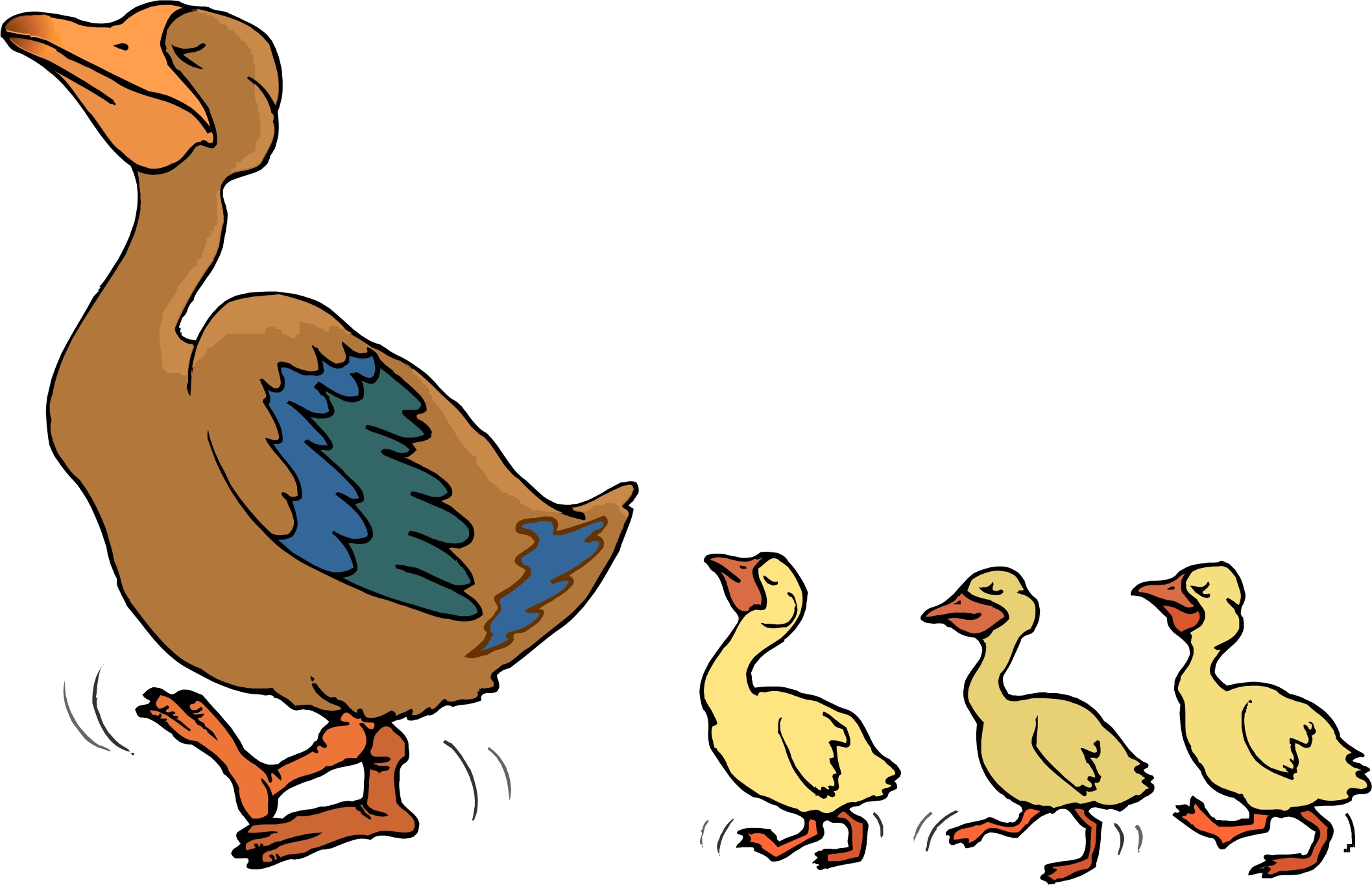Duck Cartoon Images 