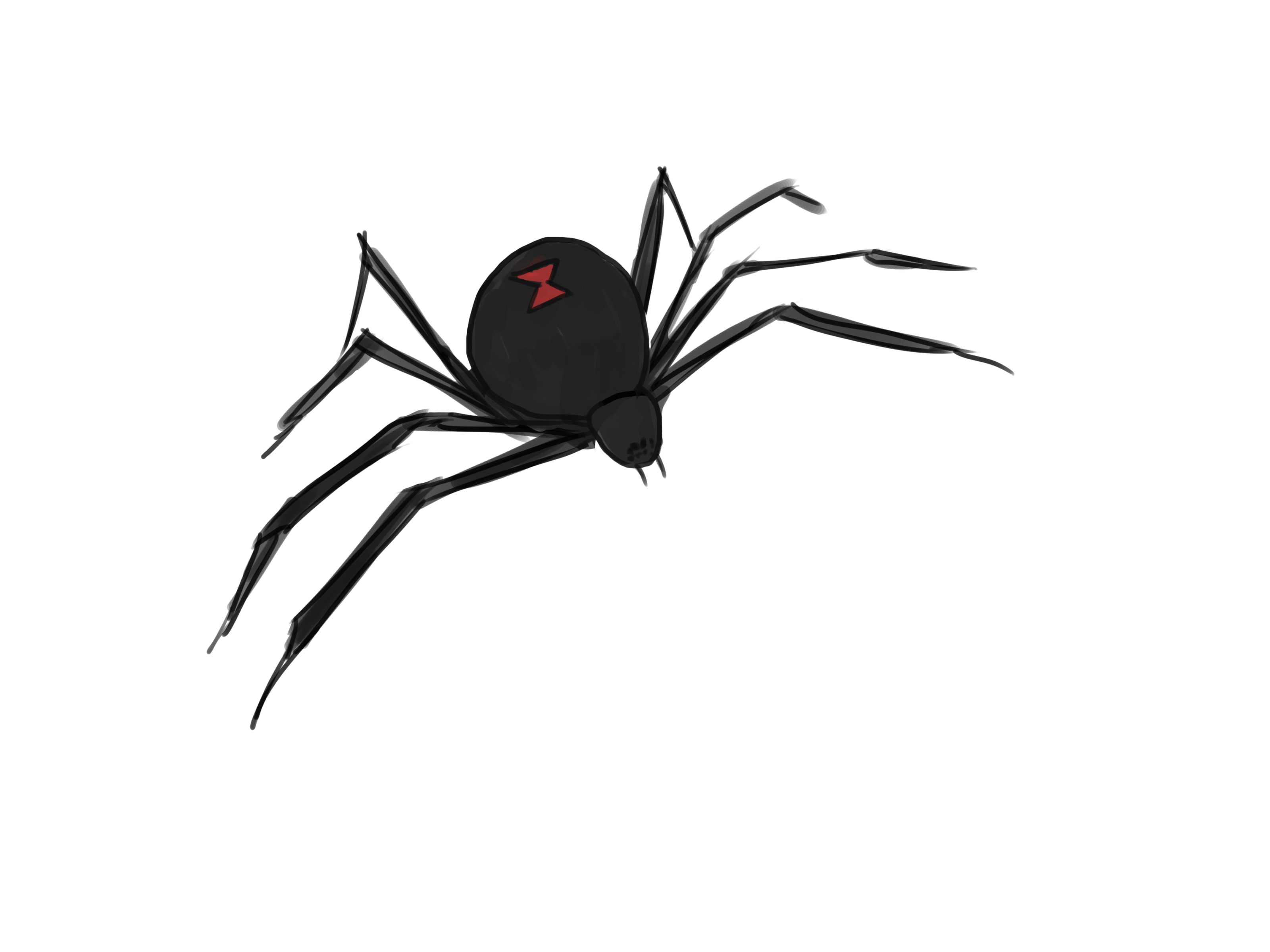 Draw-a-Spider-Step-17-Version- 