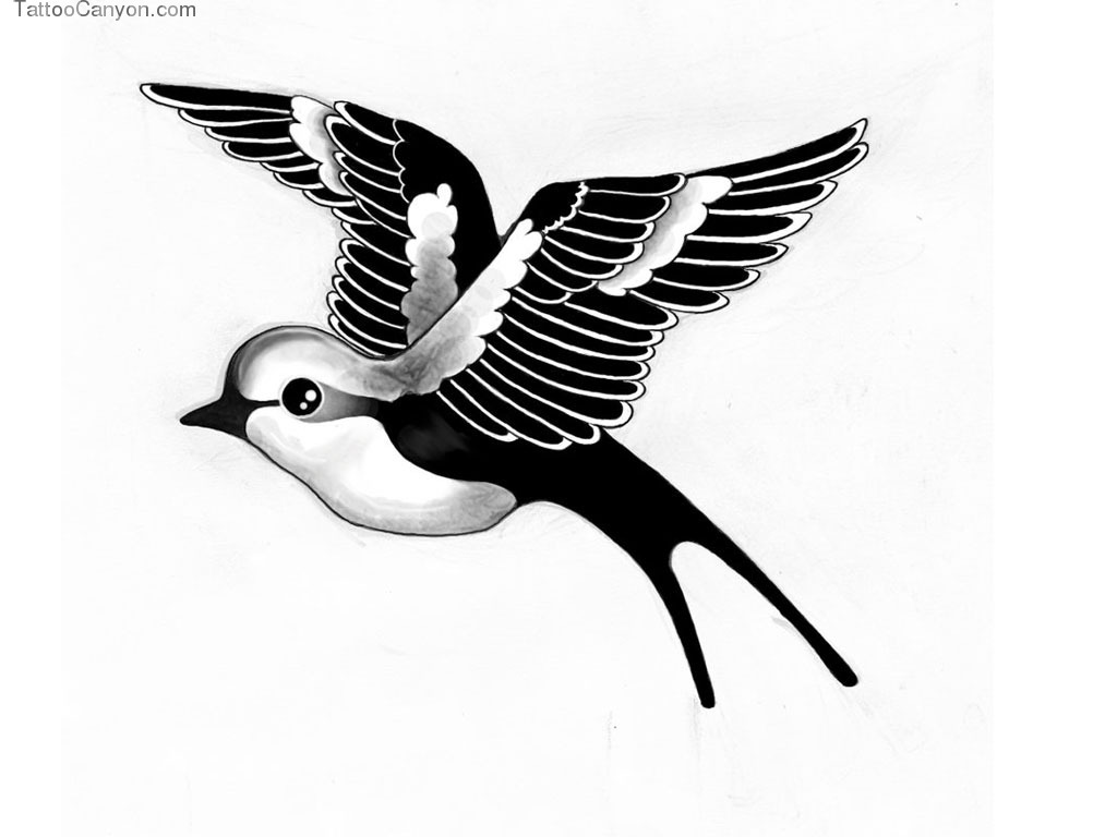 flying bird picture black and white - Clip Art Library