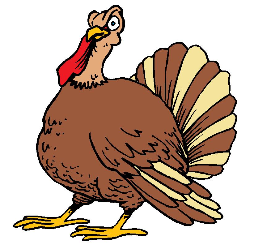 The Staring Turkey by eegcmnaes on Clipart library