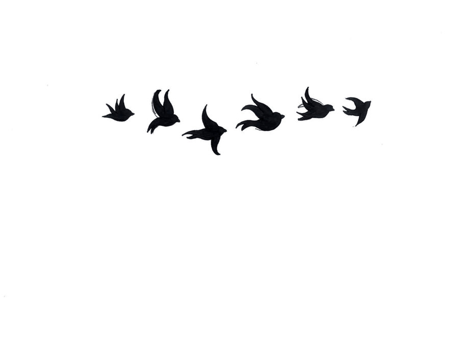 Birds Flying Black And White Images  Pictures - Becuo
