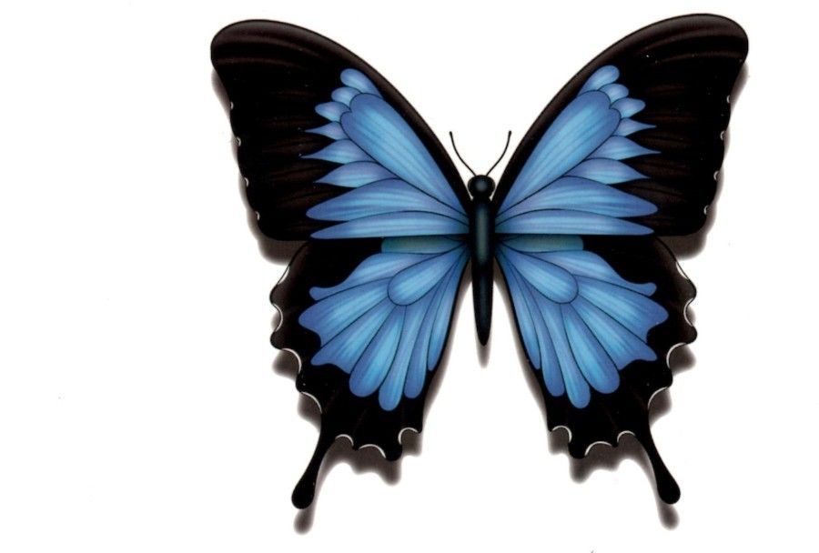 Temporary Tattoo Black Blue Butterfly | eBay