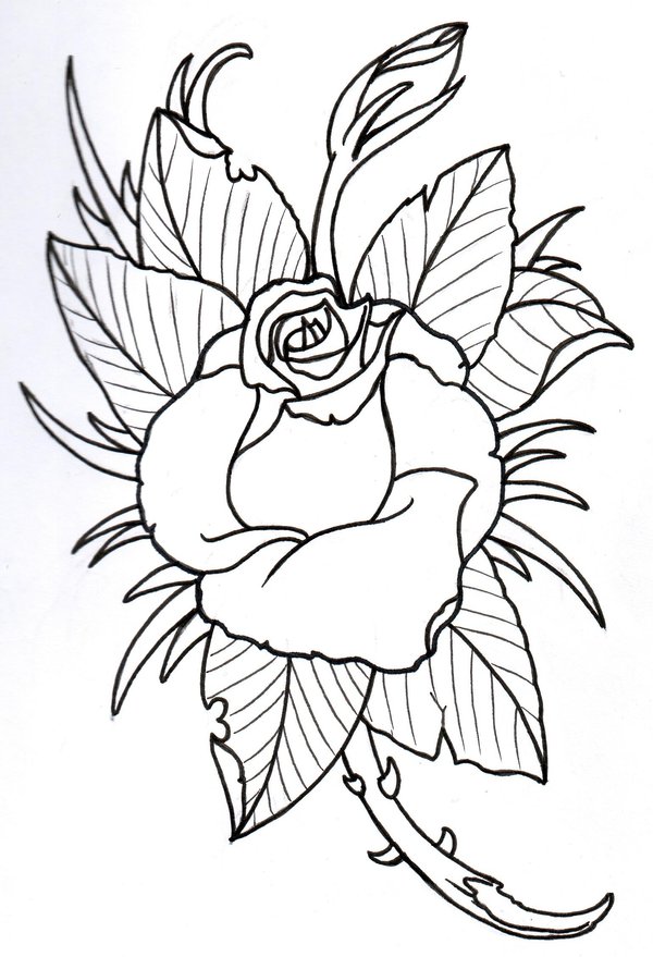 Rose Outline 2 by vikingtattoo on Clipart library