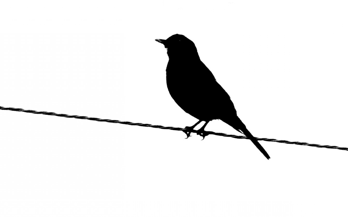 free-bird-silhouette-download-free-bird-silhouette-png-images-free