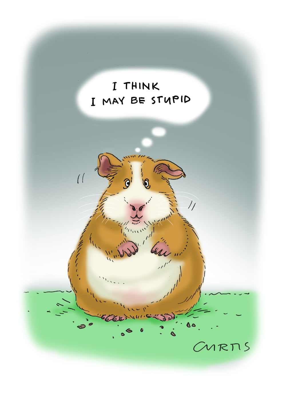 draw guinea pigs cartoon - Clip Art Library