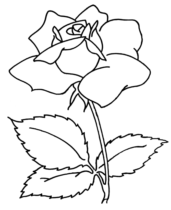 Easy Drawing Of Flower