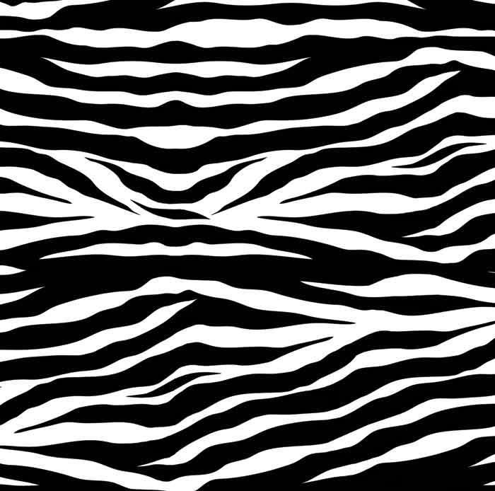 zebra design clip art - photo #39