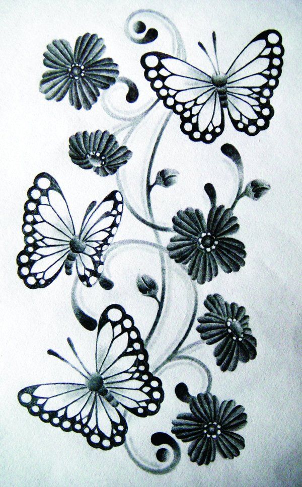 Free Butterfly Drawings, Download Free Butterfly Drawings png images