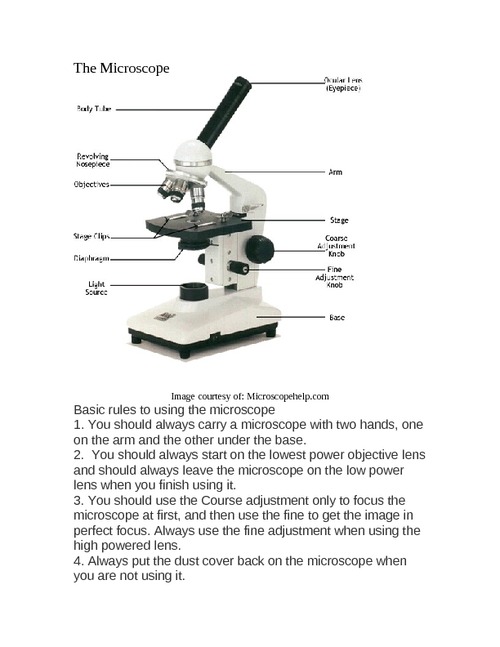 diagram of a microscope | Diabetes Inc.