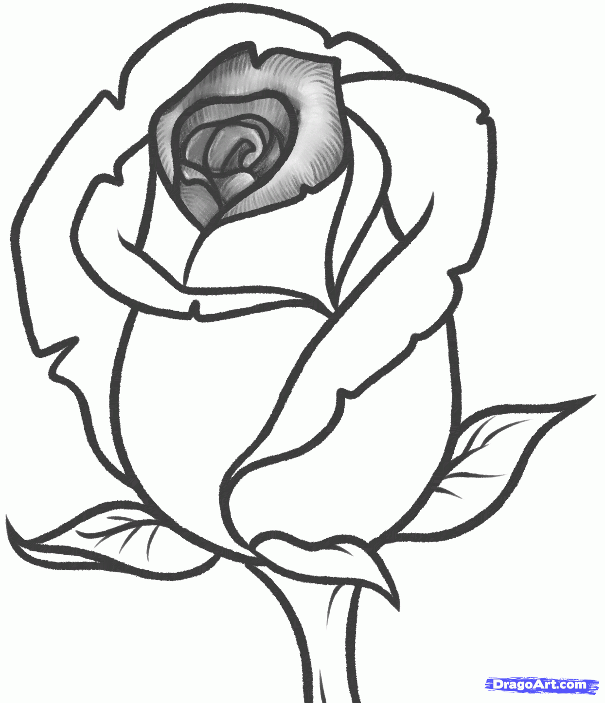 Featured image of post Easy Drawing Of Flower Rose - Looking for tutorials on how to draw a rose easy?