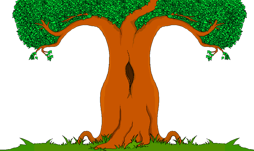 Free Orange Tree Cartoon, Download Free Orange Tree Cartoon png images