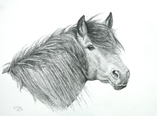 Introduction to Drawing: Tips To Help You Learn to Draw Animals