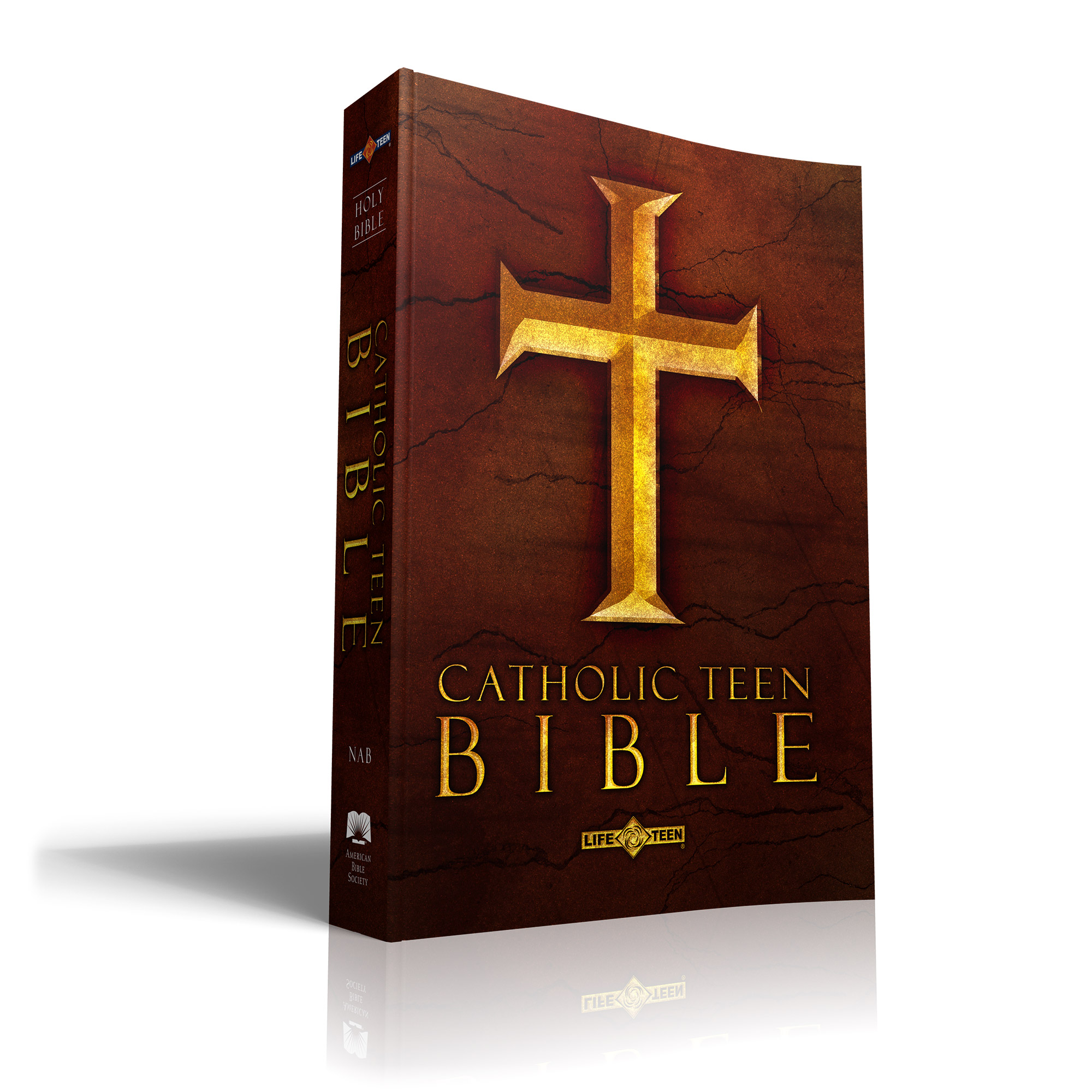 online bible catholic