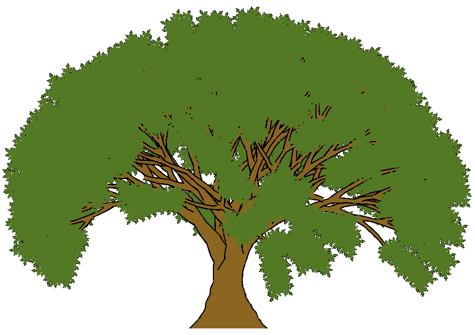 Cartoon Oak Tree