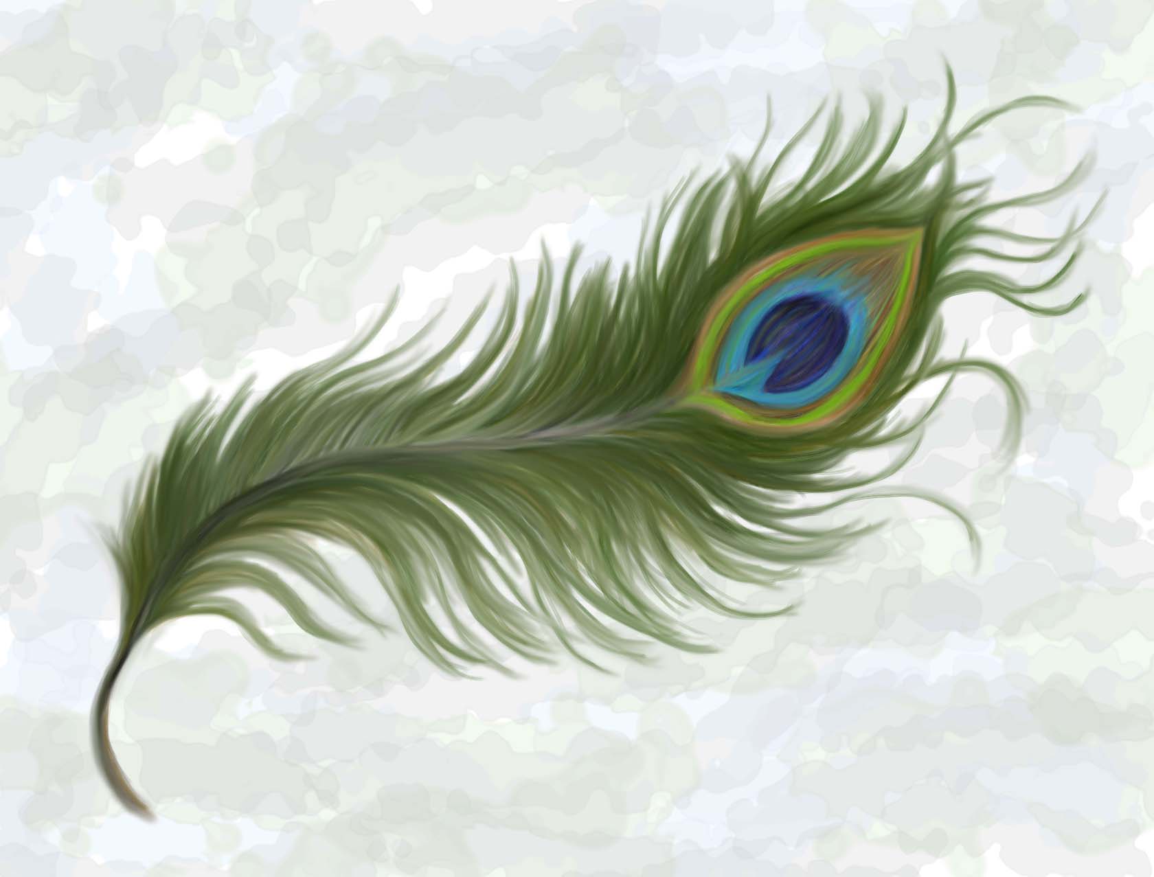 Free Peacock Feather, Download Free Peacock Feather png images, Free