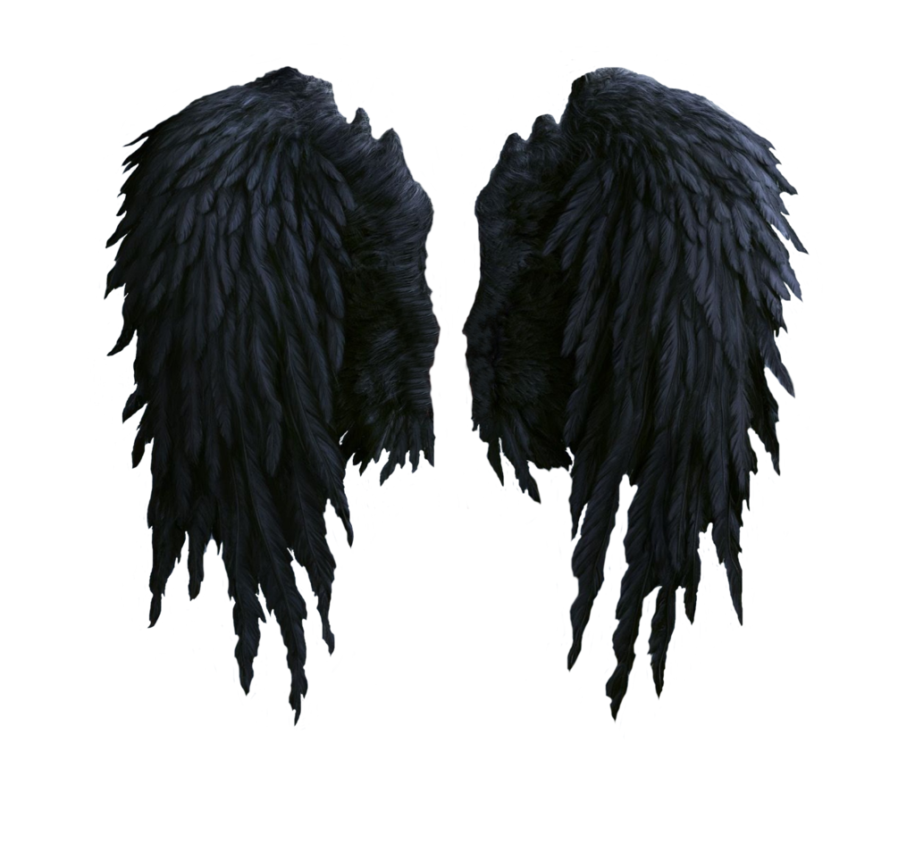 black angel wings stock PNG by Shadow-of-Nemo on Clipart library
