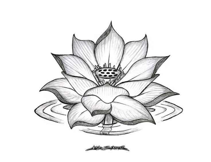 draw a flower | Lotus Flower by MuddyGreen | Kiddo Krafty | Clipart library
