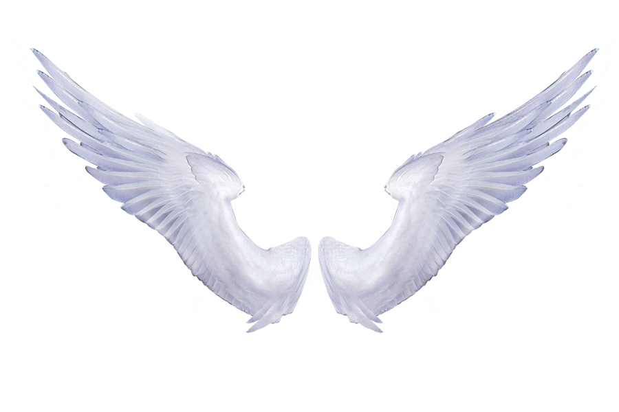 Free Angel Wings Png Download Free Clip Art Free Clip Art On Clipart Library