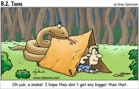 More camping cartoons | Jokes and Fun Forum | The 