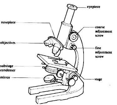 What are the four attributes of a proper microscope 
