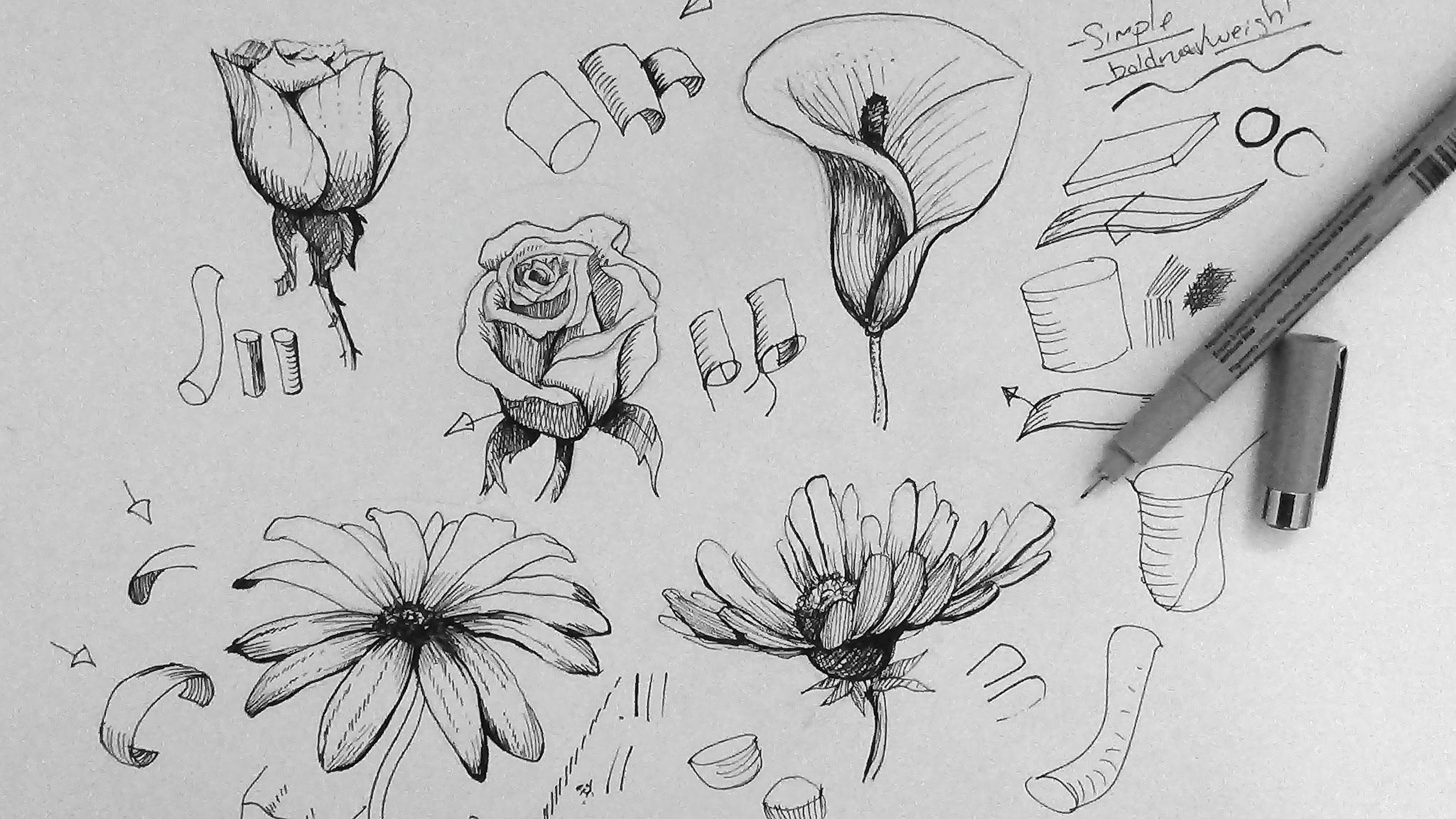 Pencil Drawing Pictures Of Flowers - Finis Convojor