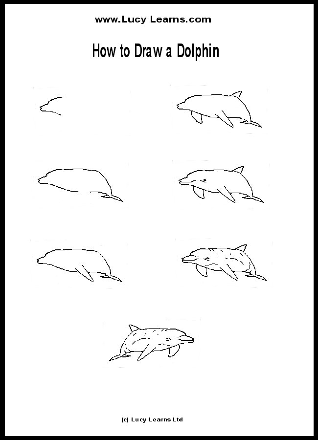 howtodrawdolphindolphin