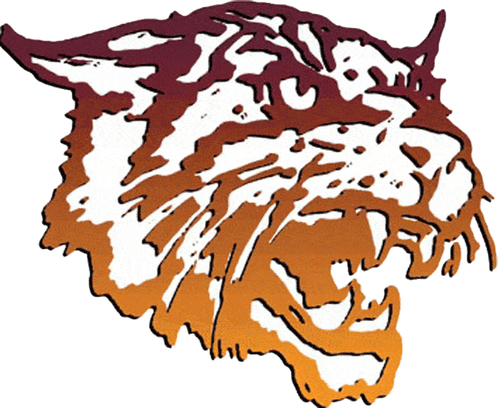Bethune-Cookman Wildcats Primary Logo - NCAA Division I (a-c 