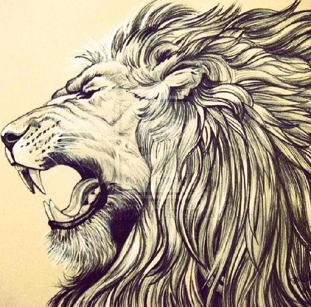 lion roaring outline