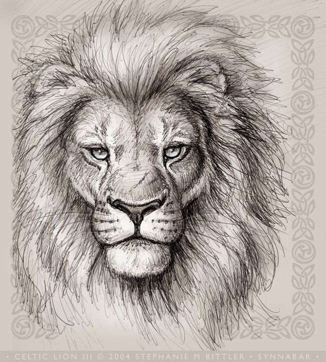simple lion tattoo designs - Clip Art Library