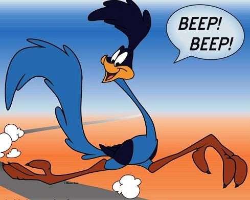 drawing road runner cartoon - Clip Art Library