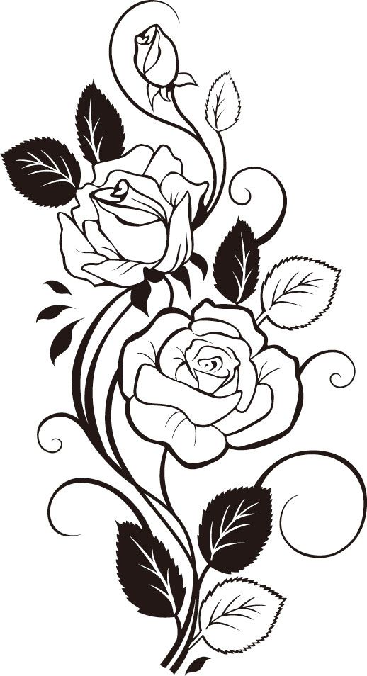 Rose Vine *vector* | Transfers, images for collage | Clipart library