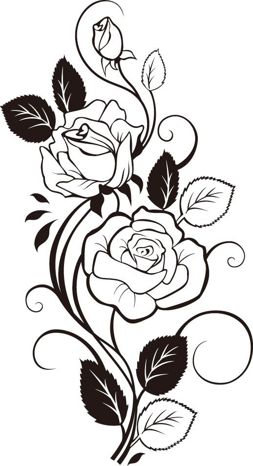 Featured image of post Simple Way to Flower Vines Easy Rose Vine Drawing