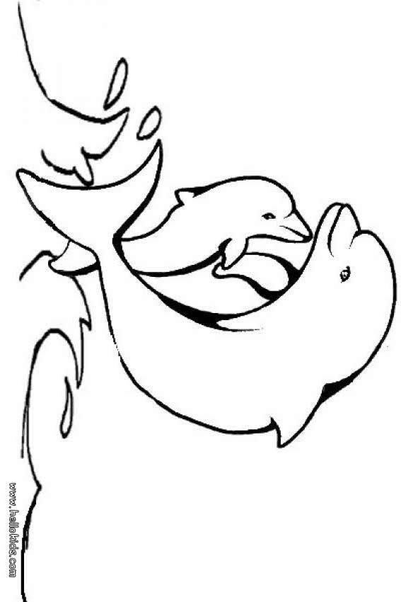 DOLPHIN coloring pages - Baby dolphin