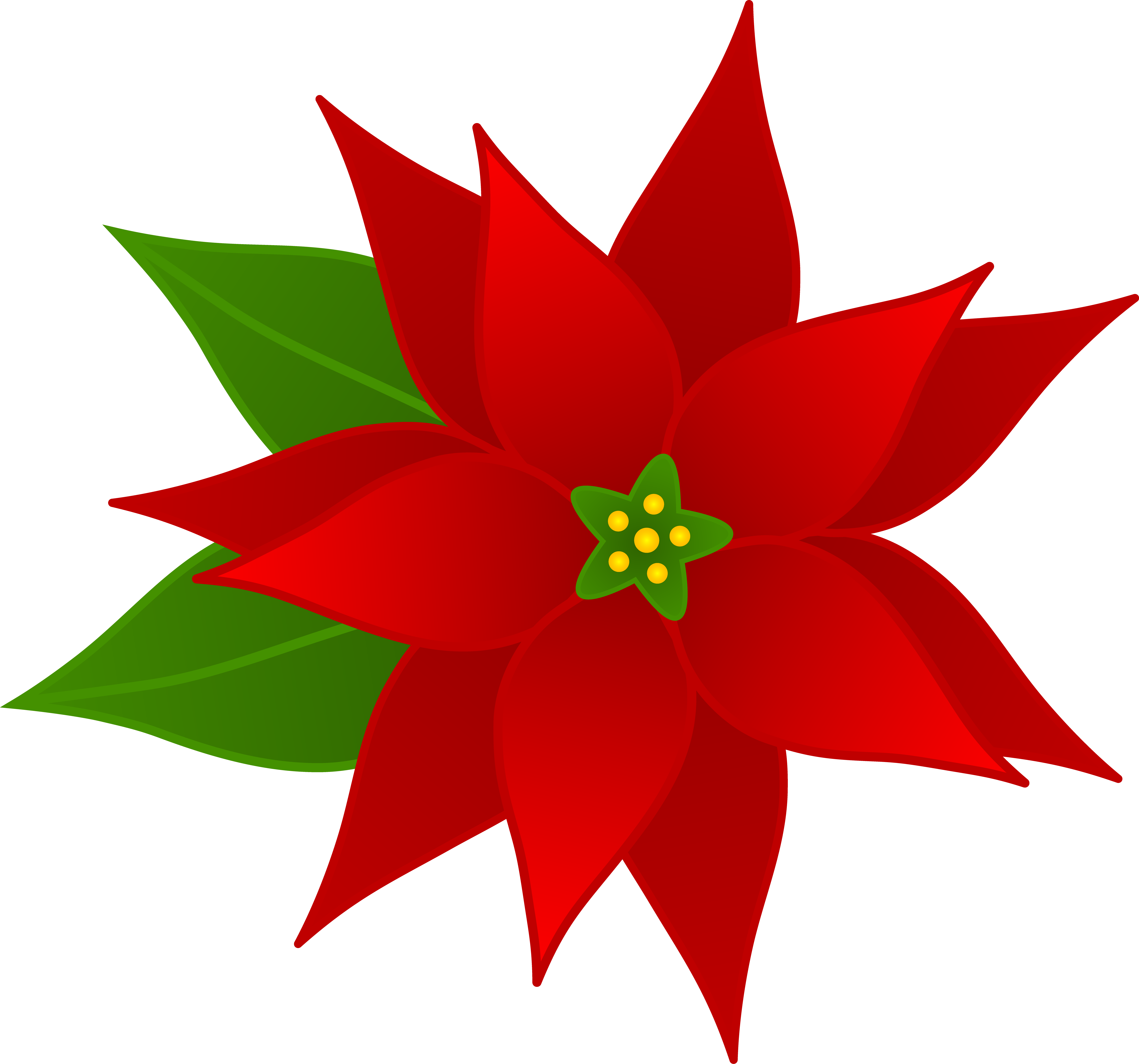 Free Poinsettia Pictures Free Download Free Poinsettia Pictures Free Png Images Free Cliparts On Clipart Library