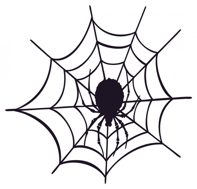 SPIDER AND WEB 0620 Self adhesive vinyl Sticker Decal | Signs by Post