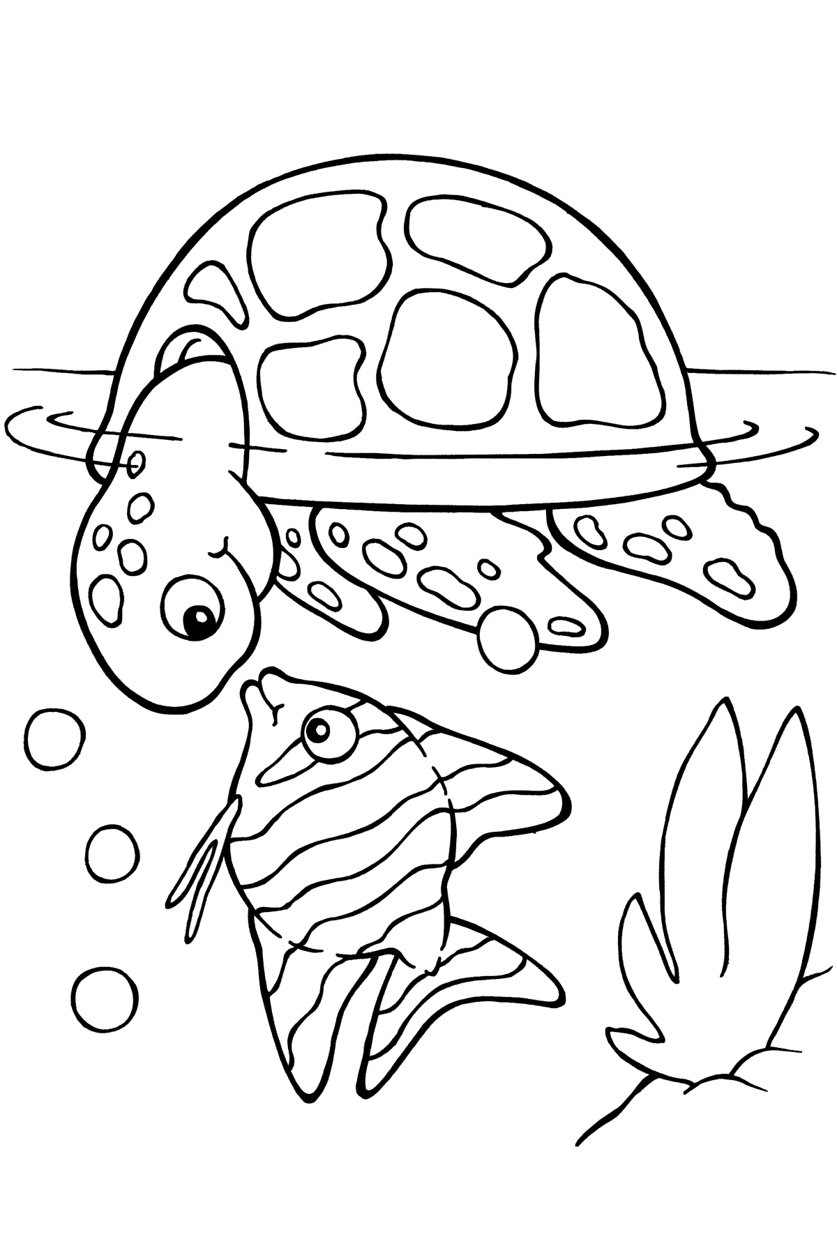 Turtle And Fish Line Art by SASGraphics on Clipart library